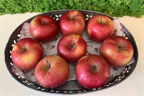 ein Teller mit Äpfeln